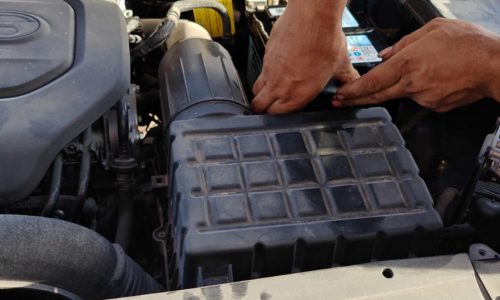 WhatsApp Image 2025-08-20 at 10.45.01 AM (1)