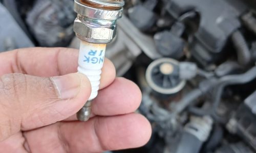 WhatsApp Image 2025-08-20 at 10.45.01 AM